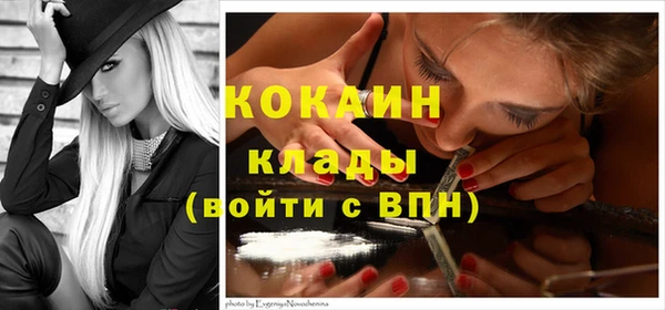 прущие грибы Лабытнанги