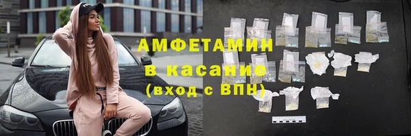 прущие грибы Лабытнанги