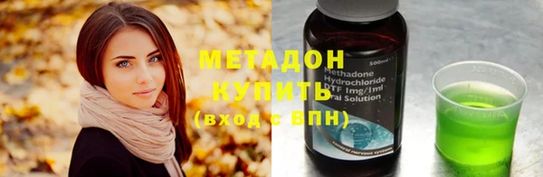 прущие грибы Лабытнанги