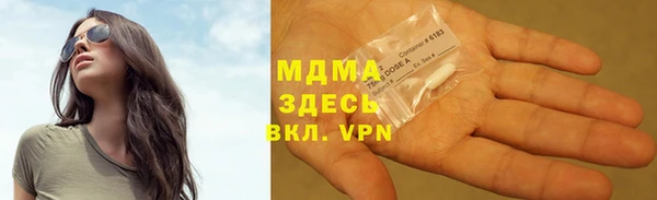 прущие грибы Лабытнанги