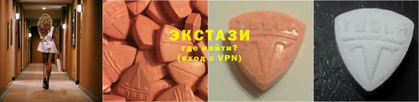 прущие грибы Лабытнанги