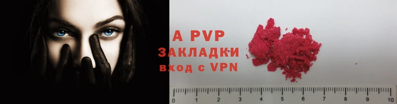 прущие грибы Лабытнанги