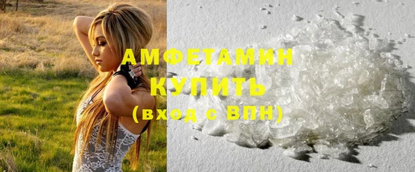 прущие грибы Лабытнанги