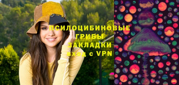 прущие грибы Лабытнанги
