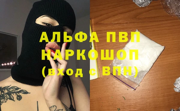 прущие грибы Лабытнанги