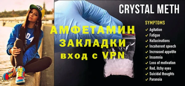 прущие грибы Лабытнанги