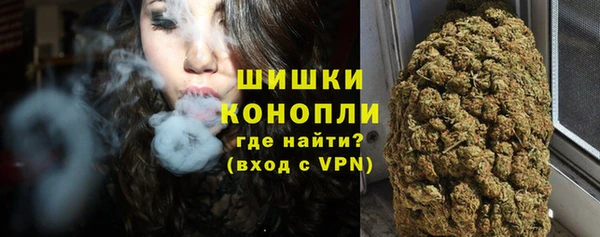 прущие грибы Лабытнанги