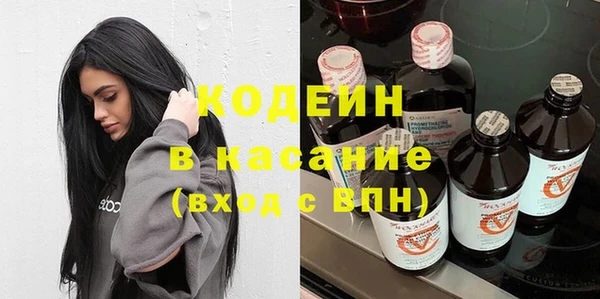 прущие грибы Лабытнанги