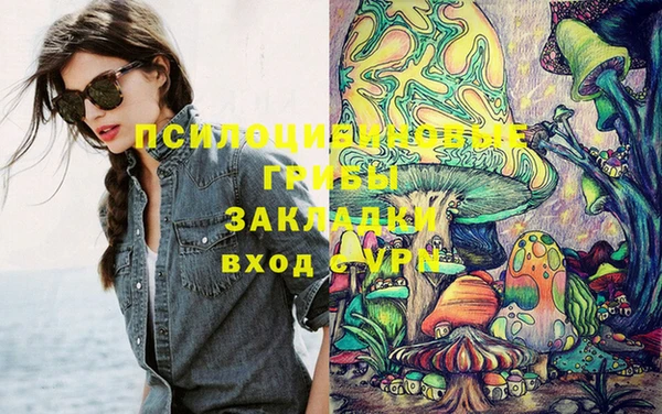 jwh Ладушкин