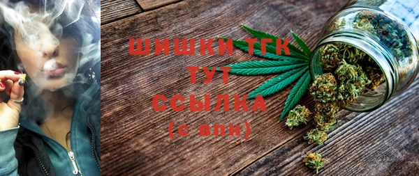 прущие грибы Лабытнанги