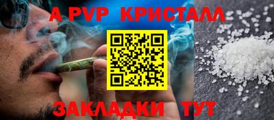 стафф Можга