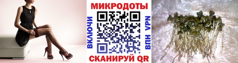цена   Тында  ссылка на мегу ССЫЛКА  Псилоцибиновые грибы Cubensis 