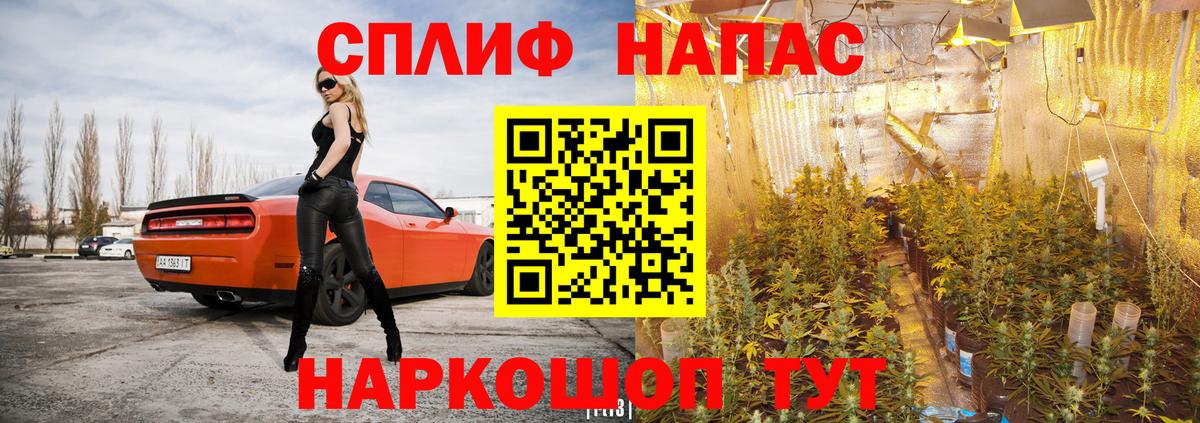 Марихуана AK-47  Бошки марихуана сатива  Конопля сатива  Вход с VPN  Бошки Шишки планчик  Тында 